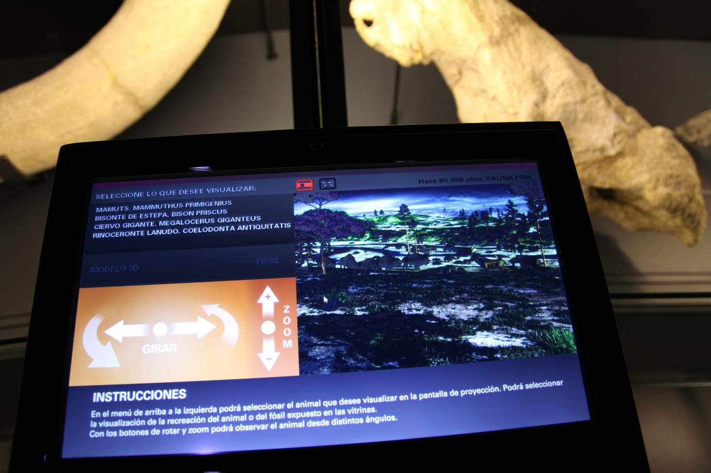 Pantalla interactiva fauna