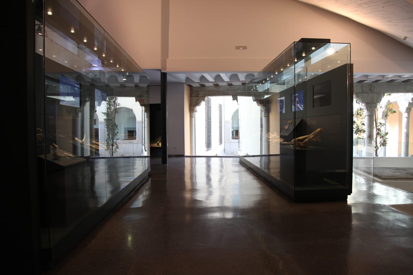Vitrinas y claustro